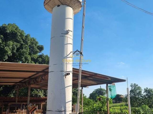 Sítio para Venda em Pontalinda - 4